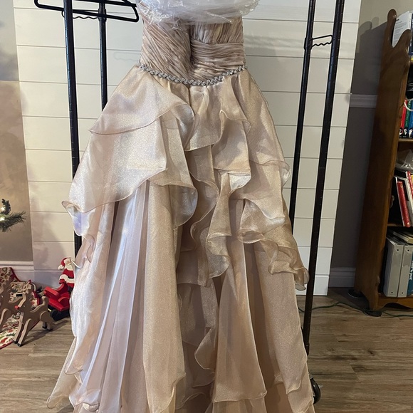 Angela & Alison Prom Dress, Style 21031 Toffee, Size 10 - Picture 3 of 8